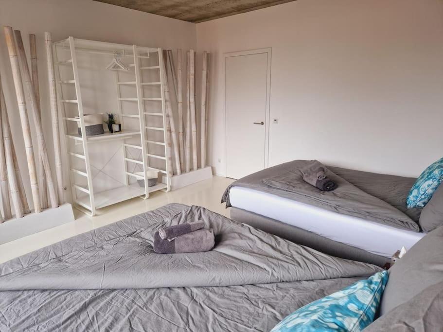 Apartmán Exklusives Design-Penthouse Mc1 Seligenstadt Exteriér fotografie