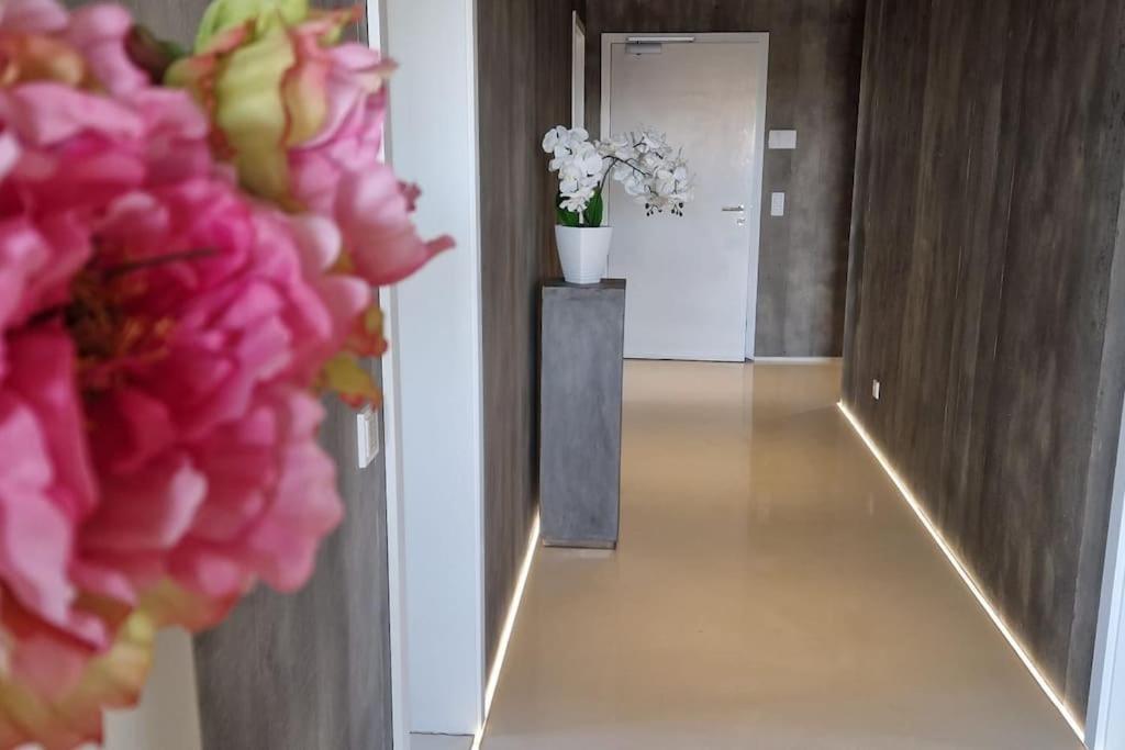 Apartmán Exklusives Design-Penthouse Mc1 Seligenstadt Exteriér fotografie